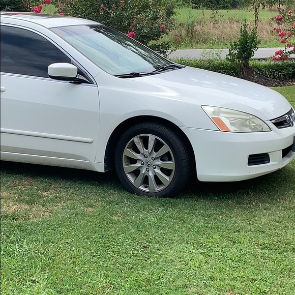 Meet your Posher, Cash - Picture 1 of 1